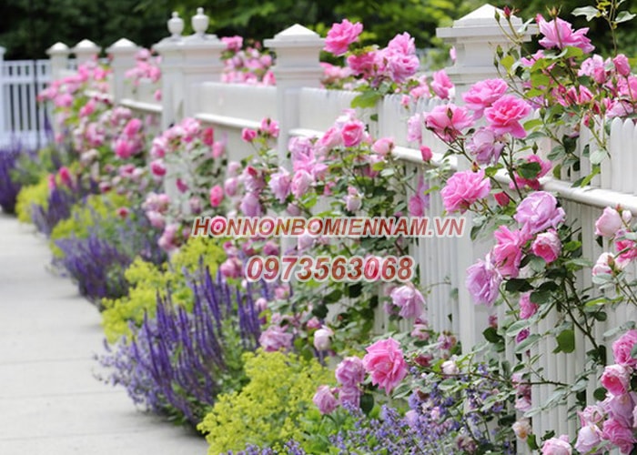 Thiết kế vườn hoa hồng đẹp - Hòn Non Bộ Miền Nam